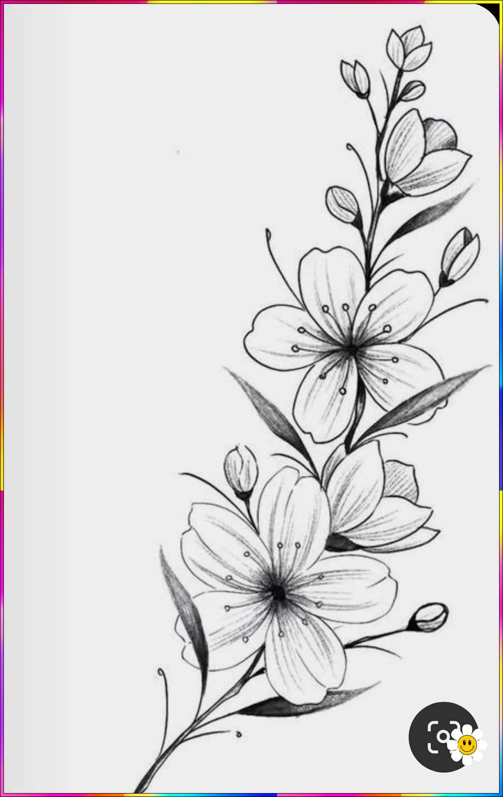 pictures of drawings of flowers
