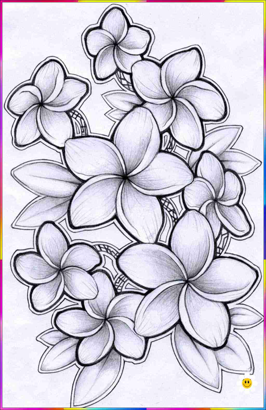 drawing different flowers
