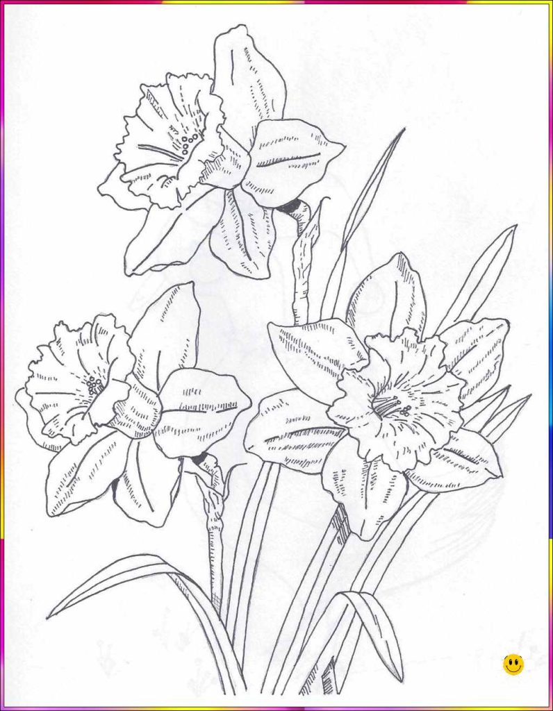 cute easy flowers to draw