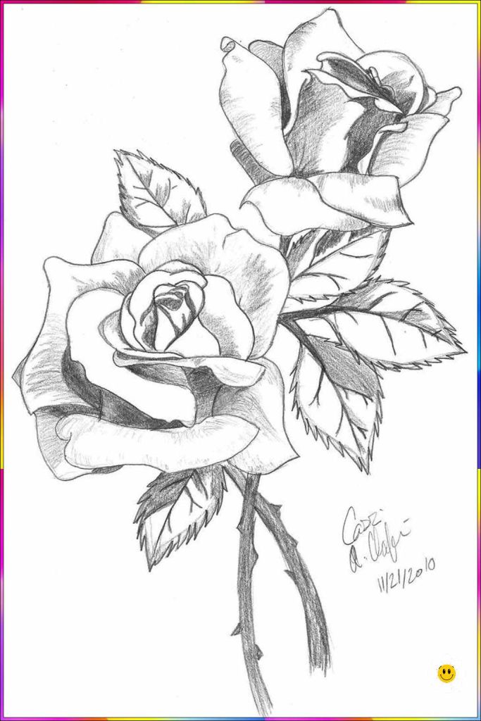drawing beautiful flowers