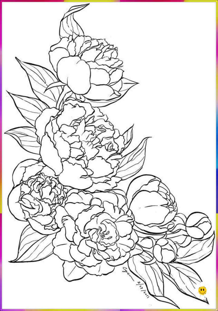 outline drawing flower
