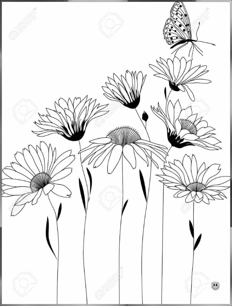 hand drawing of flowers