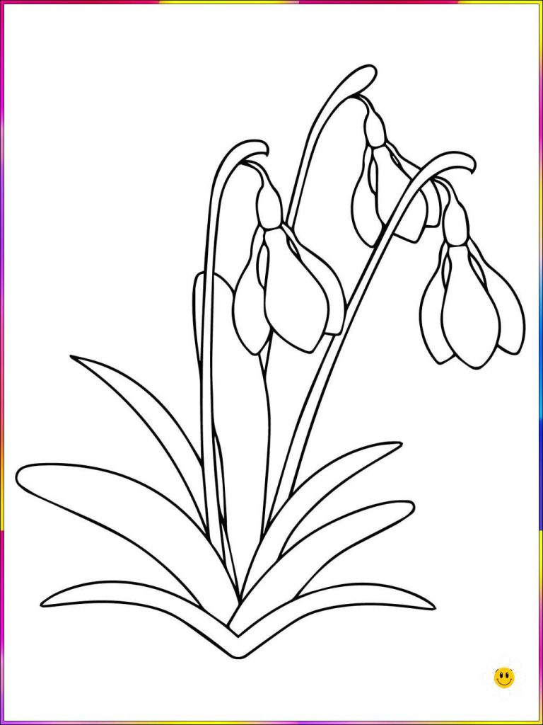 hand drawing of flowers