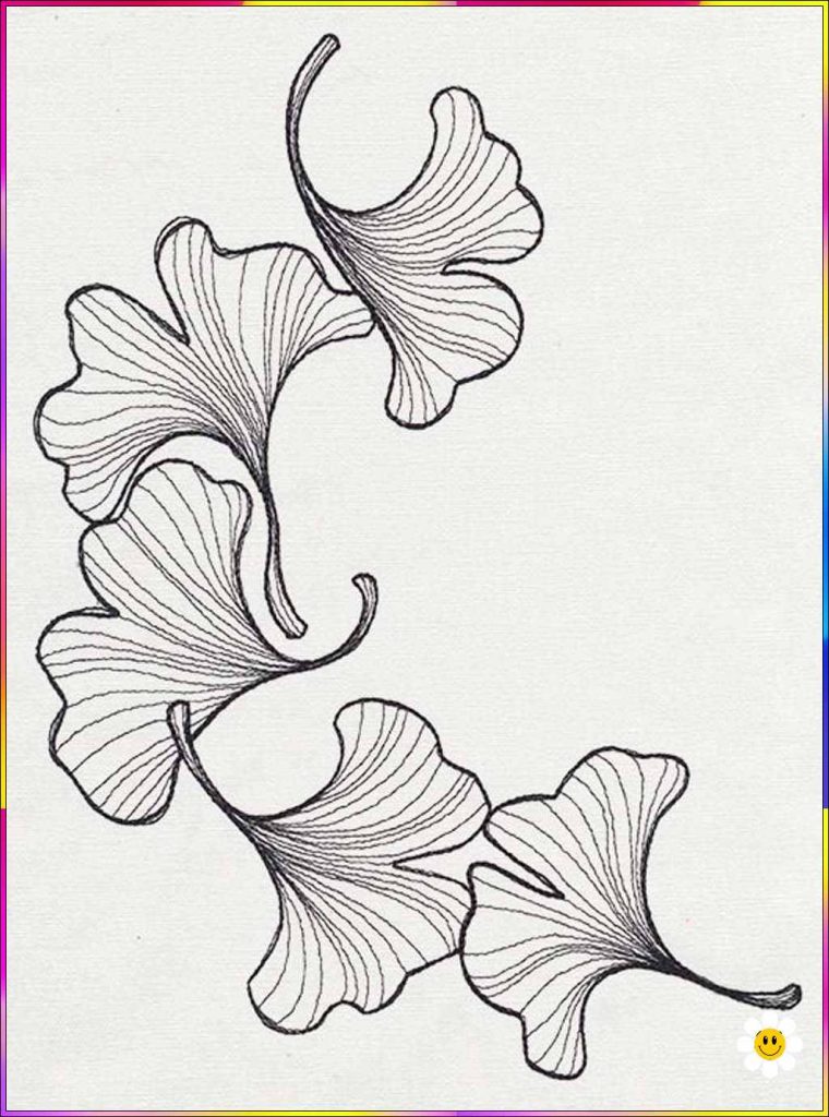 drawings flowers