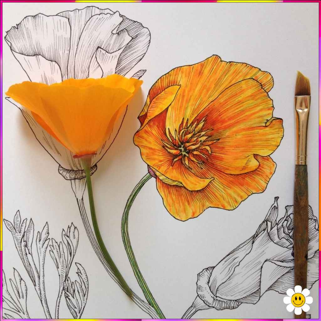 images of flowers to draw