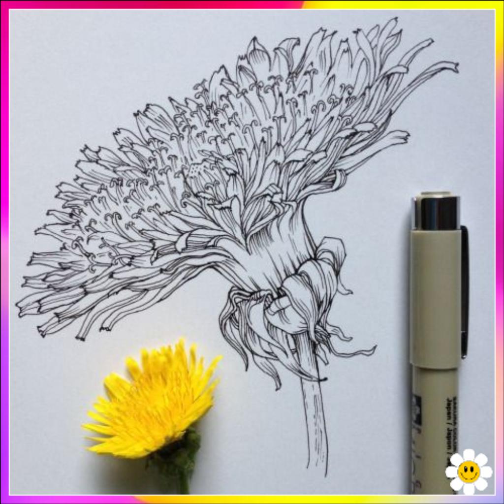 Read flower drawing to draw