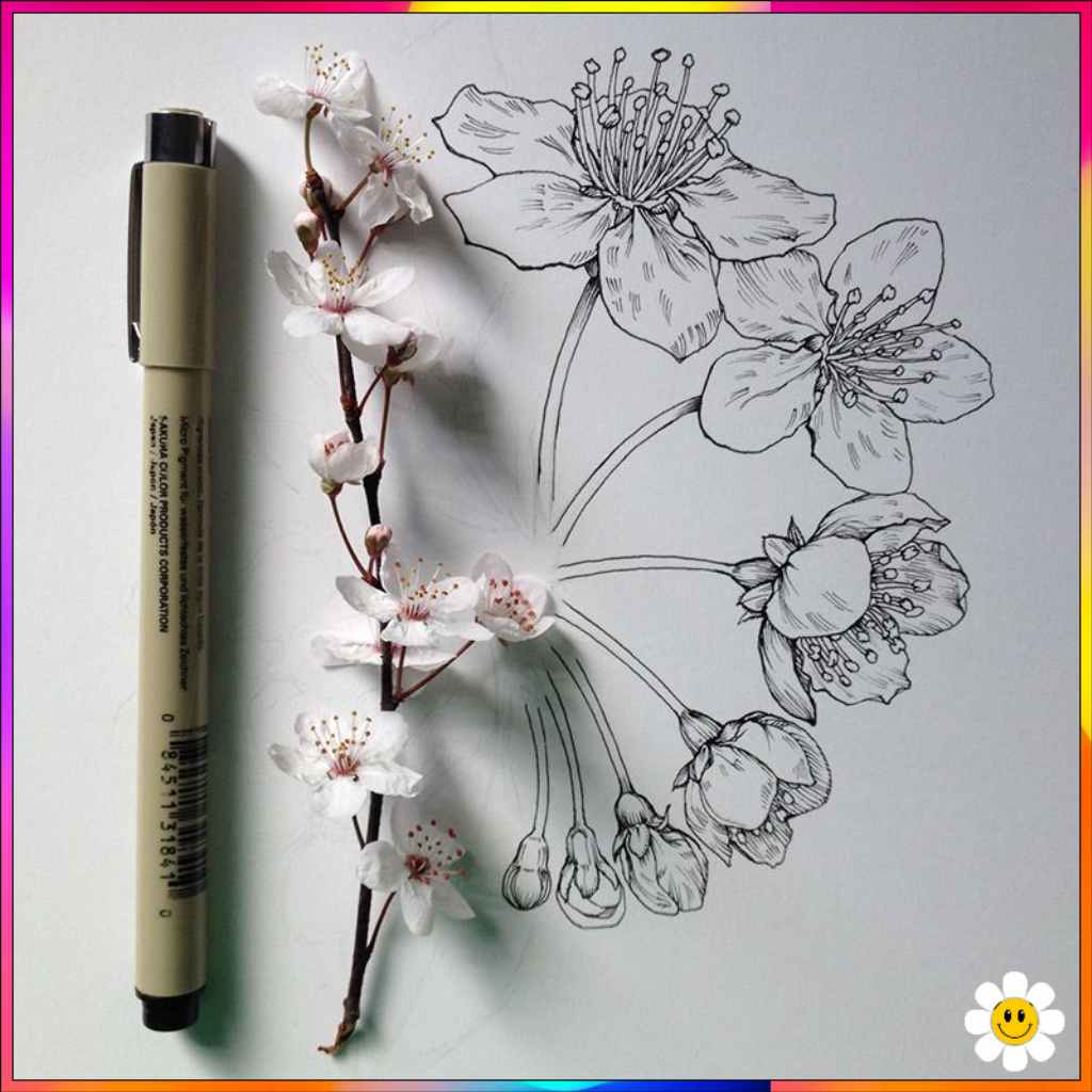 pictures of drawings of flowers