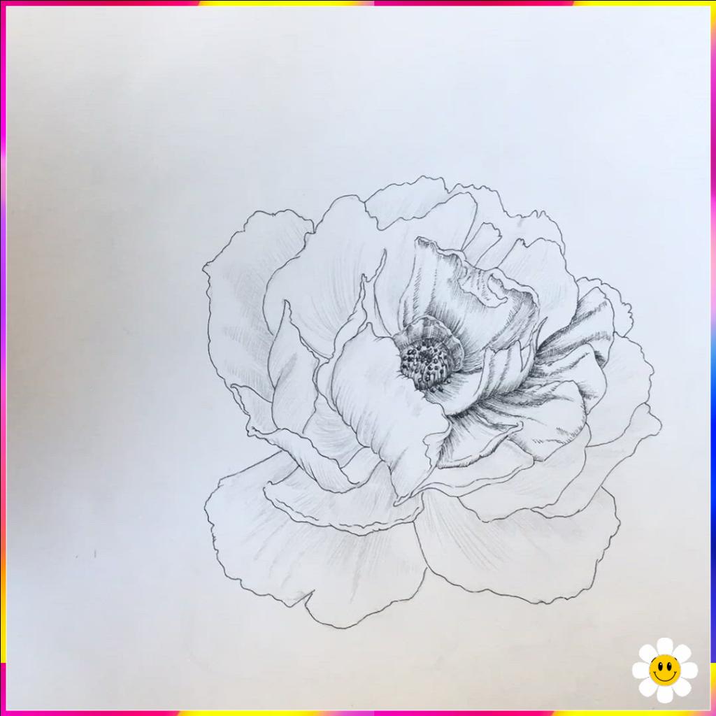 draw flower
