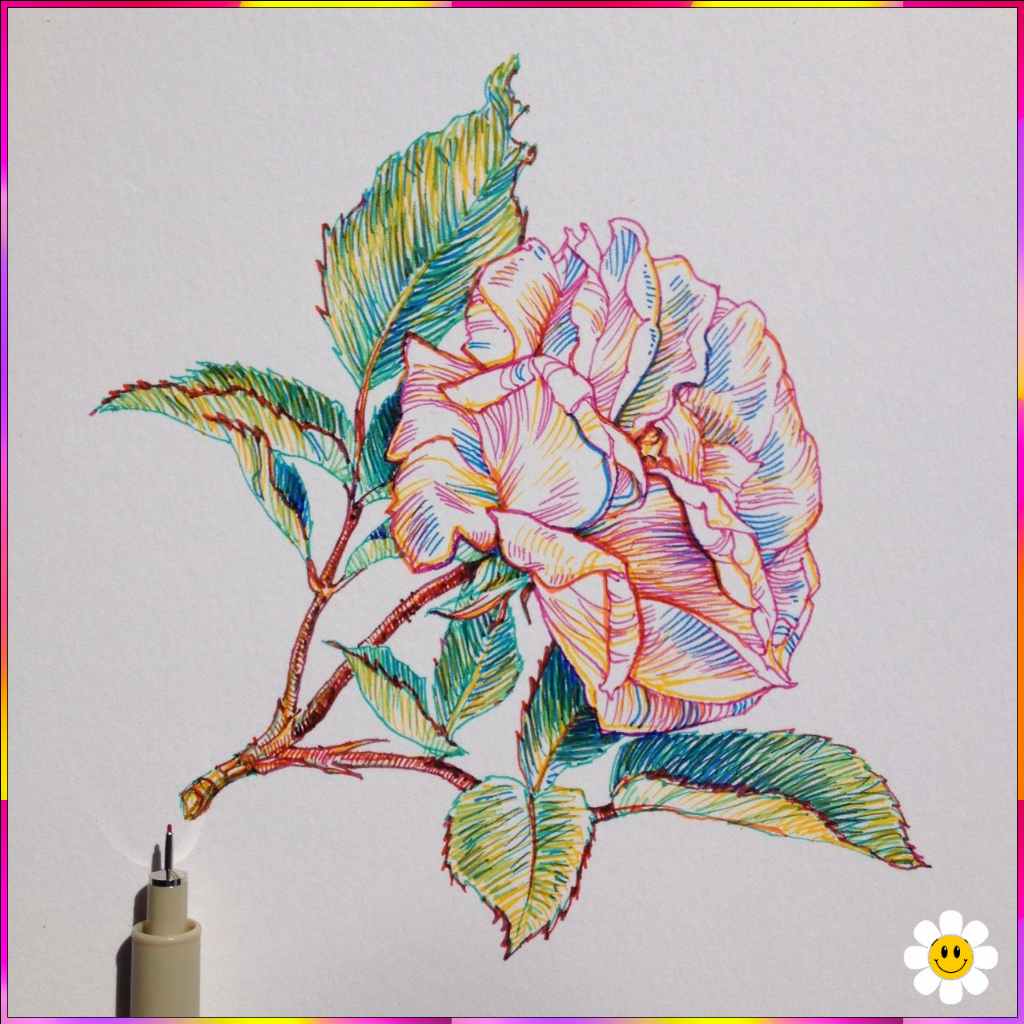 flower drawing with color
