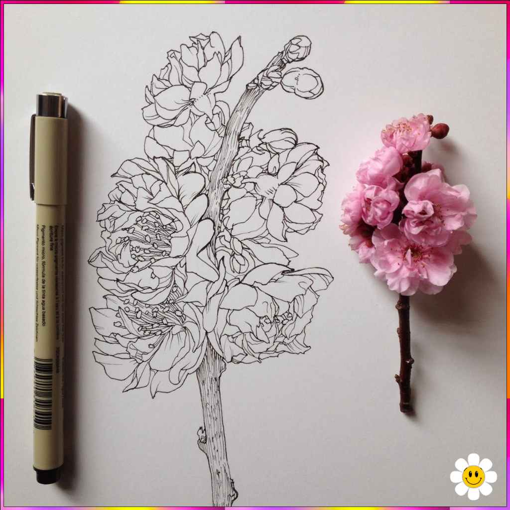 Flower sketch 