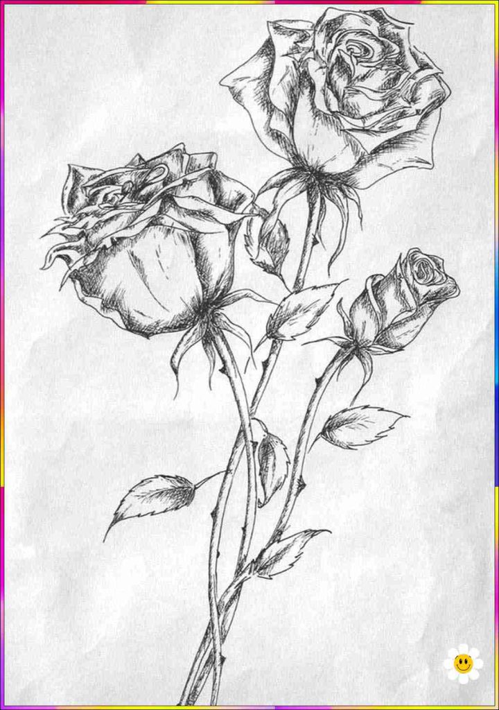 basic flower drawing for everyong