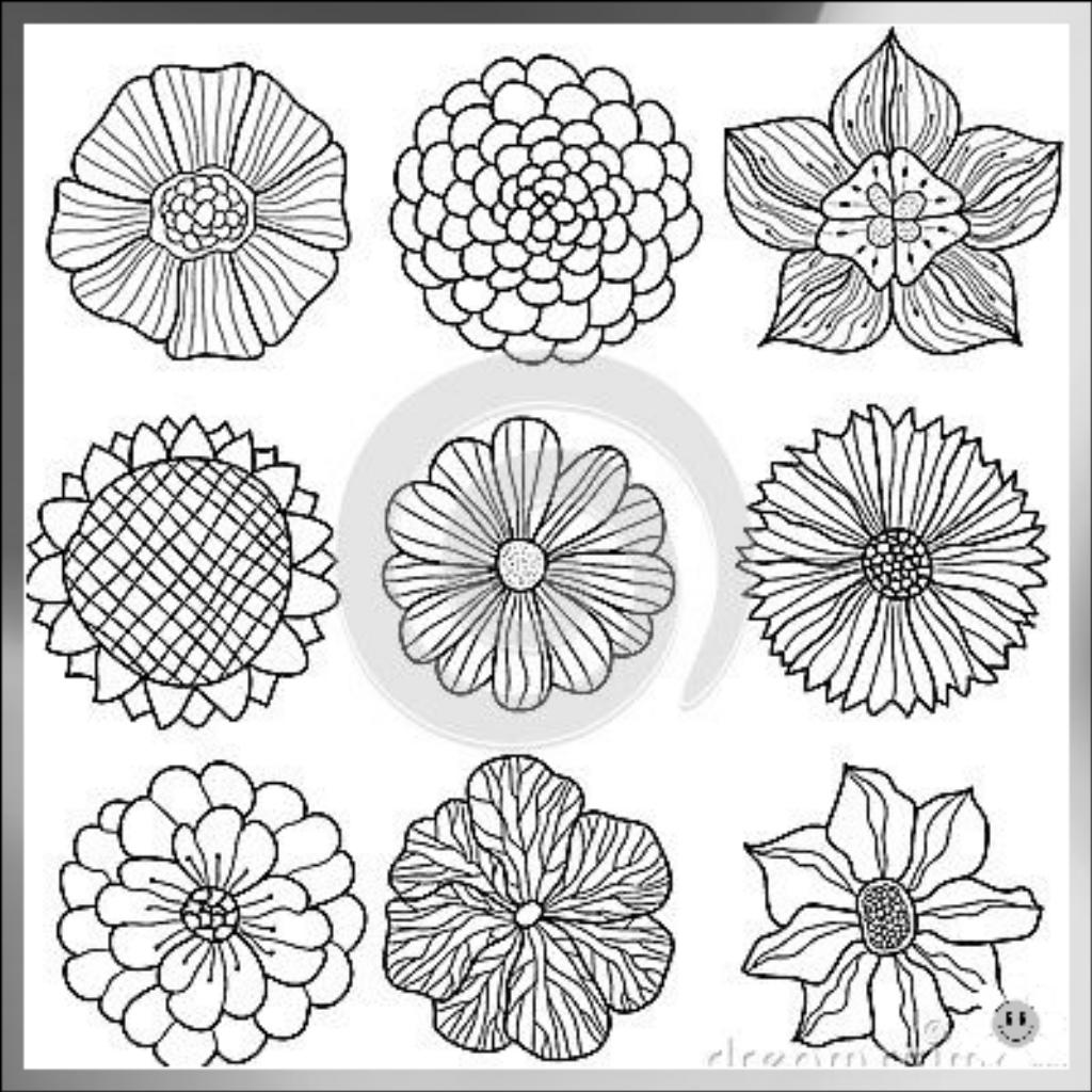 artistic flower drawing
