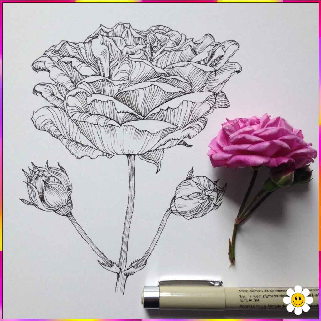 drawing pictures of flowers
