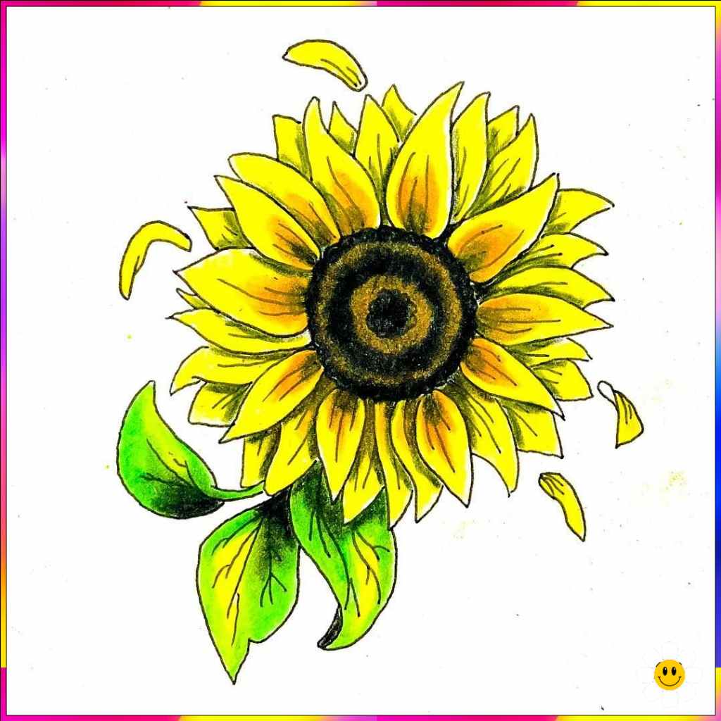 Color flower drawing