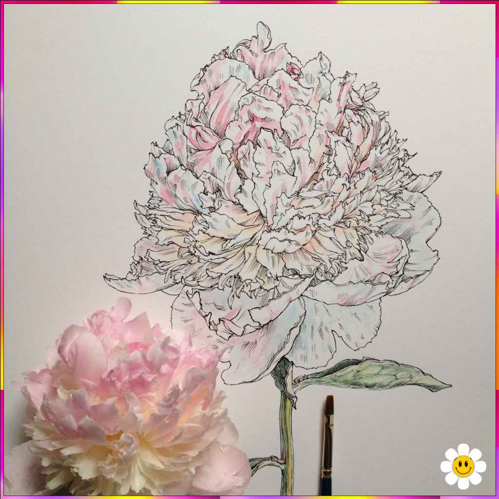real flower drawing
