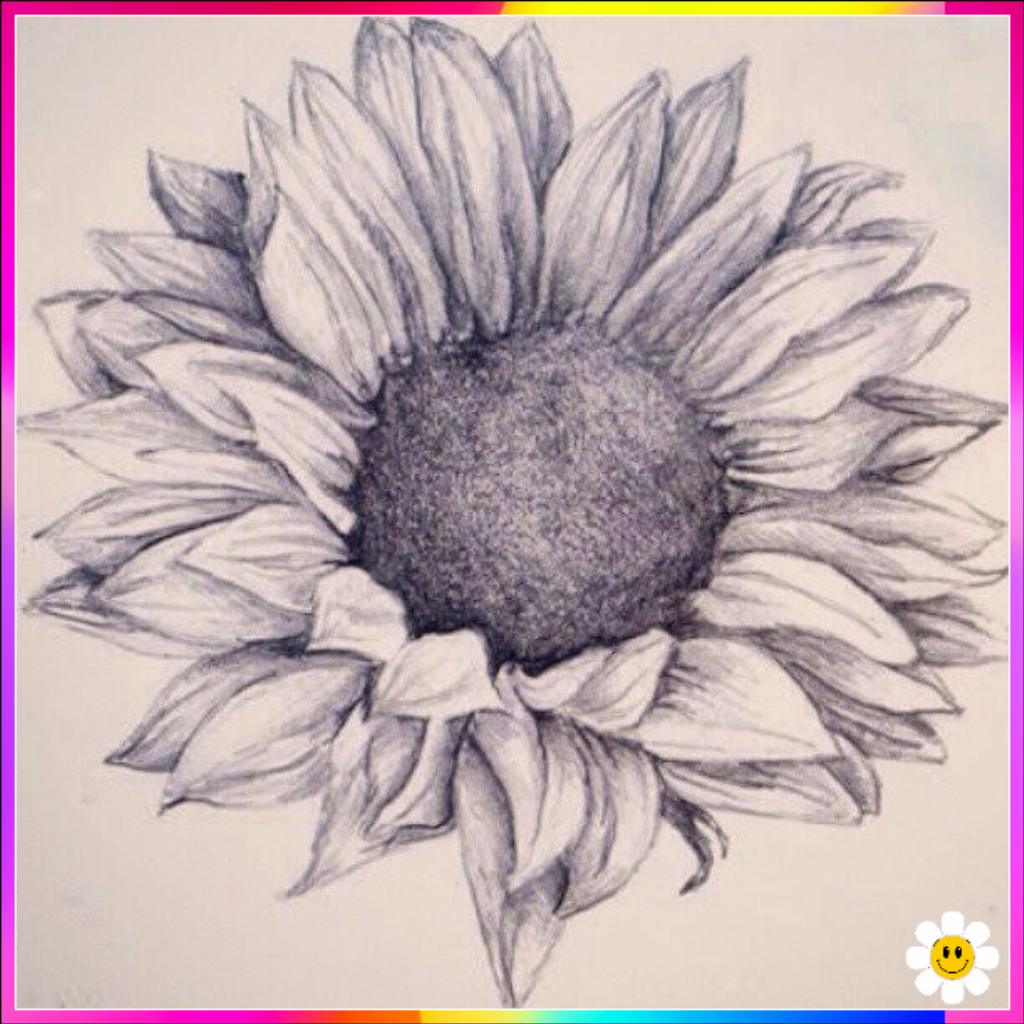 draw flower design

