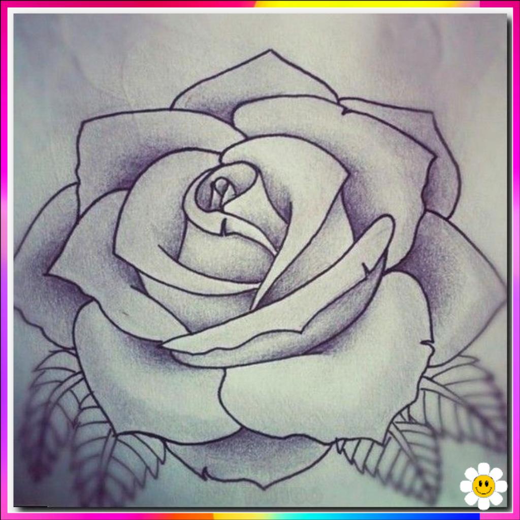 drawing of a flower
