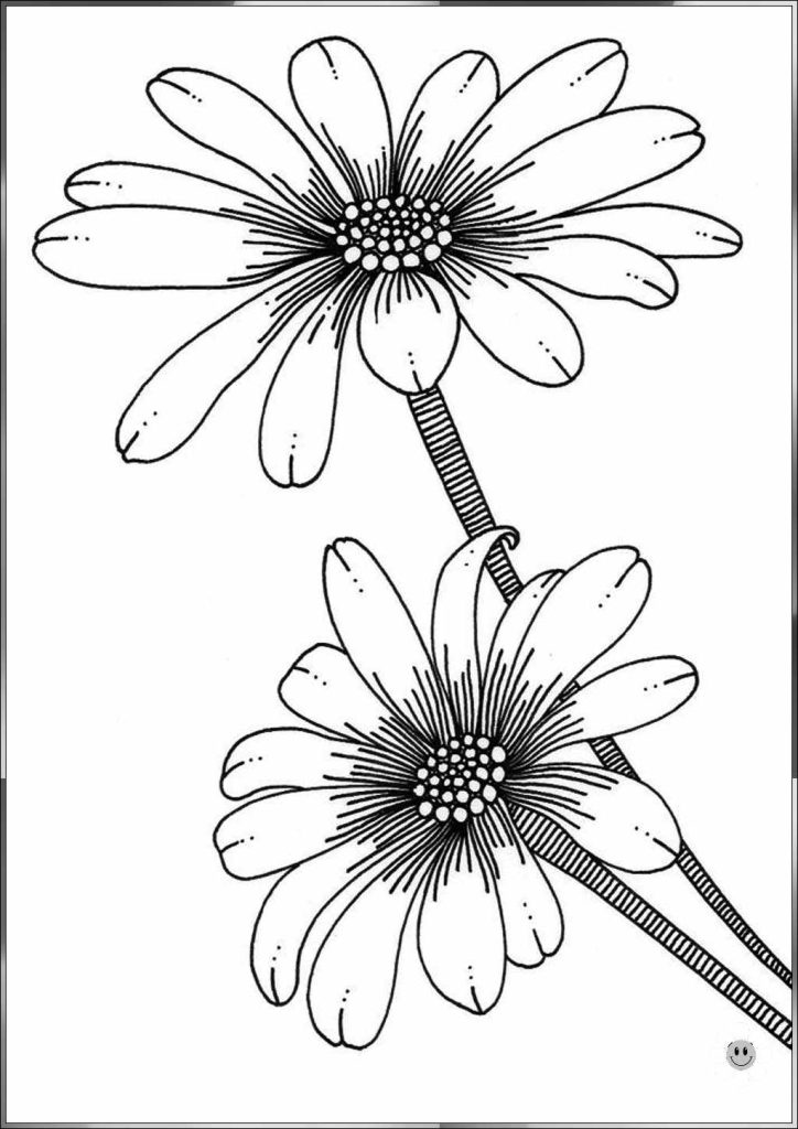 Simple drawing flower