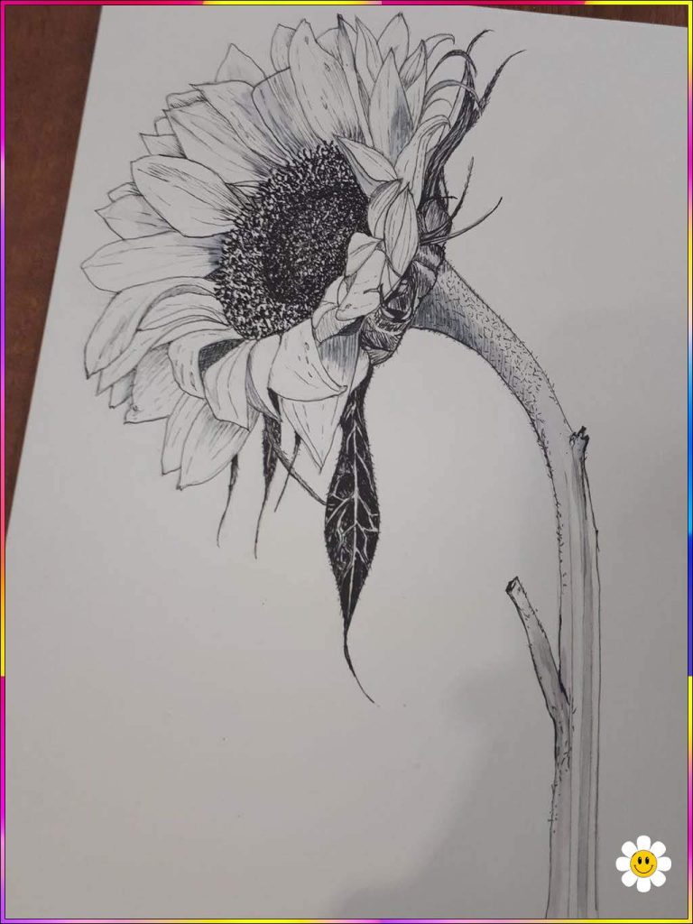 cute flowers drawing
