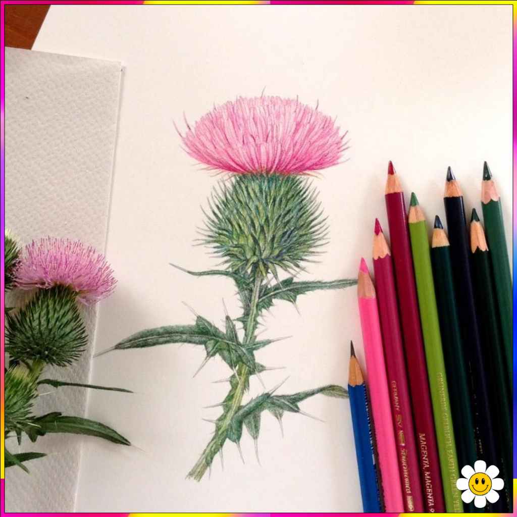 simple flower drawing designs
