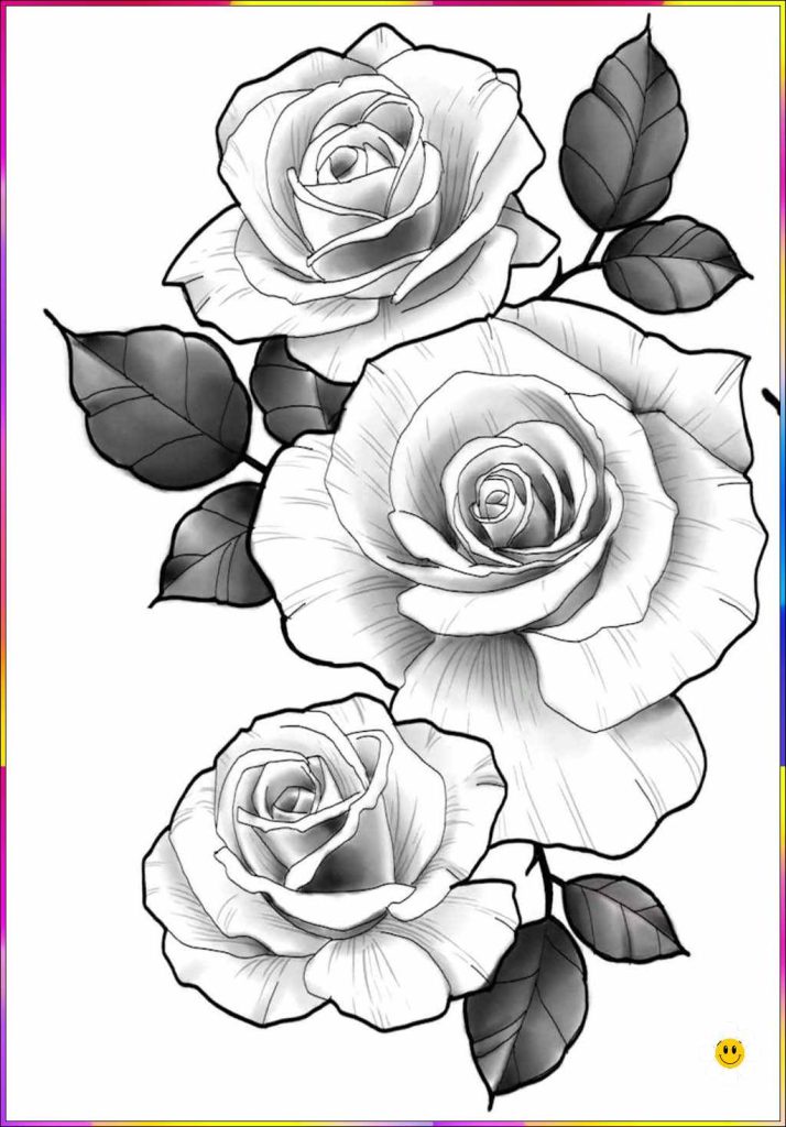 pic of a flower drawing