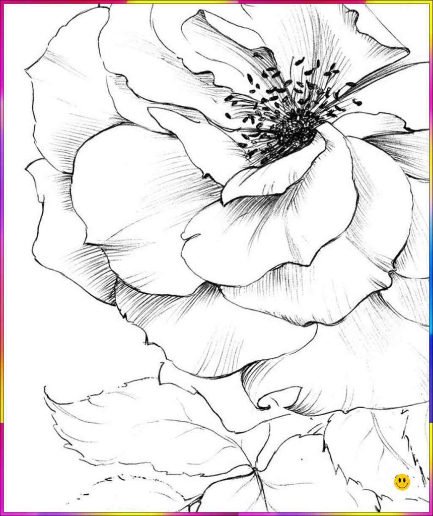 flower designs to draw
