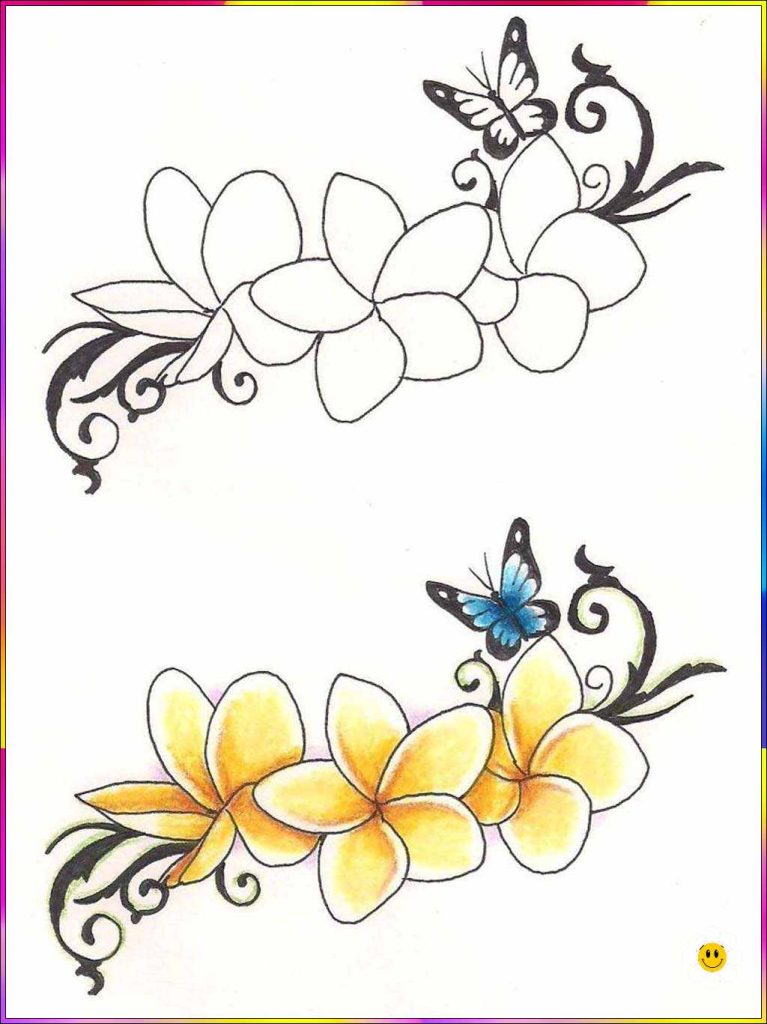 drawn images of flowers
