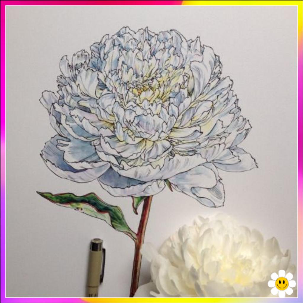 flower design drawing
