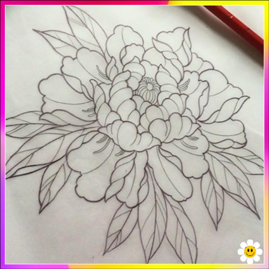 flower sketches
