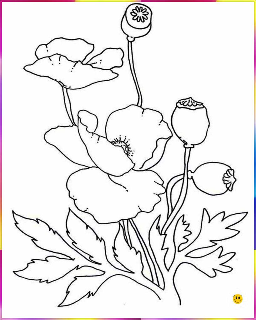 simple flower drawing
