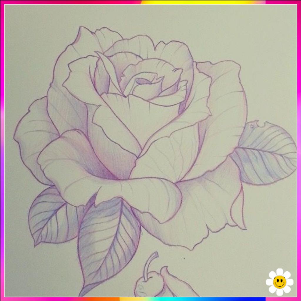 flowers drawings

