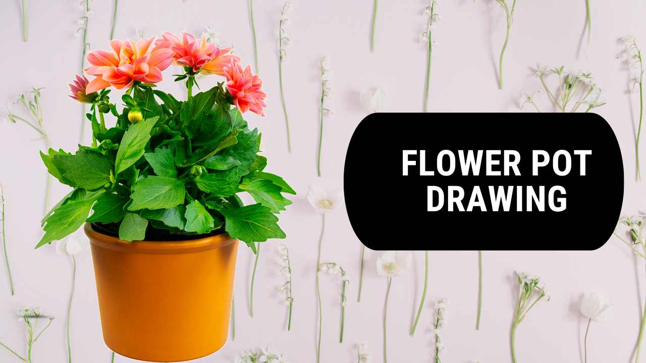 50+ Flower Pot Drawing Images & Pictures