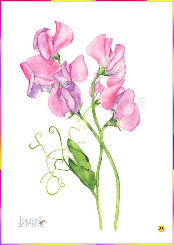 easy to draw flowers pink