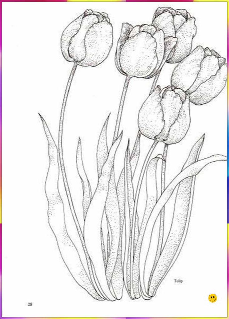 Flower drawing for beginners