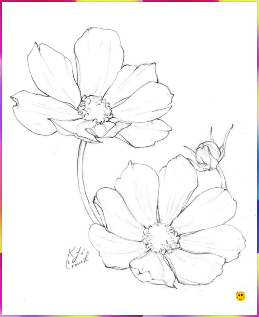 Simple easy flower drawing for everyone