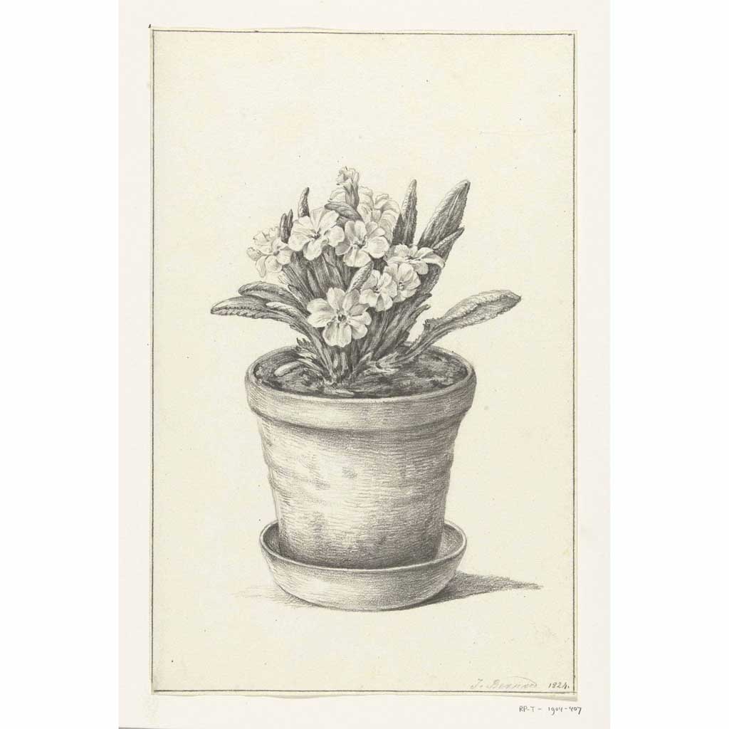 simple flower pot drawing