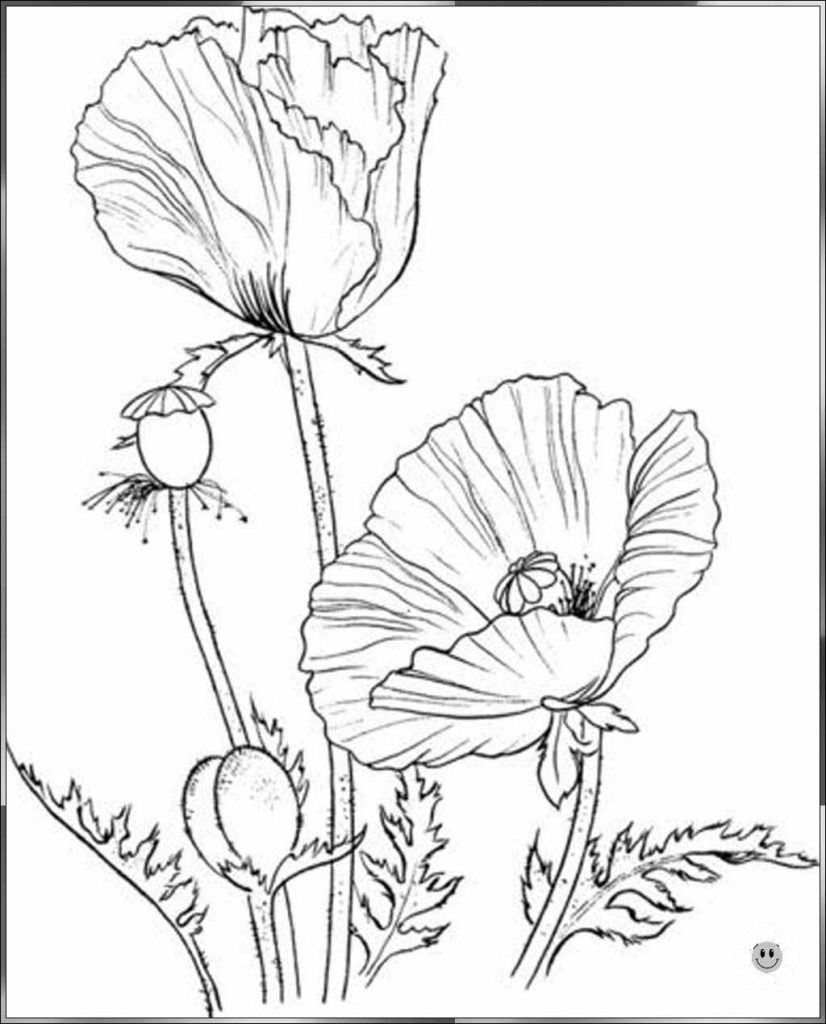 easy flower drawing sketch