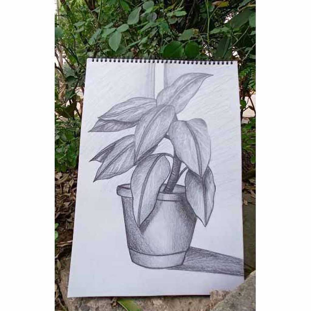 easy beautiful flower pot drawing