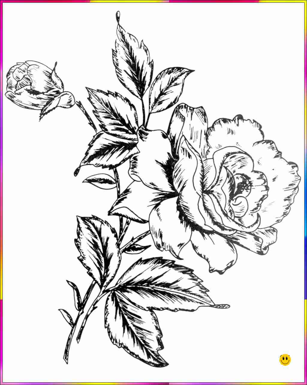 normal flower drawing
